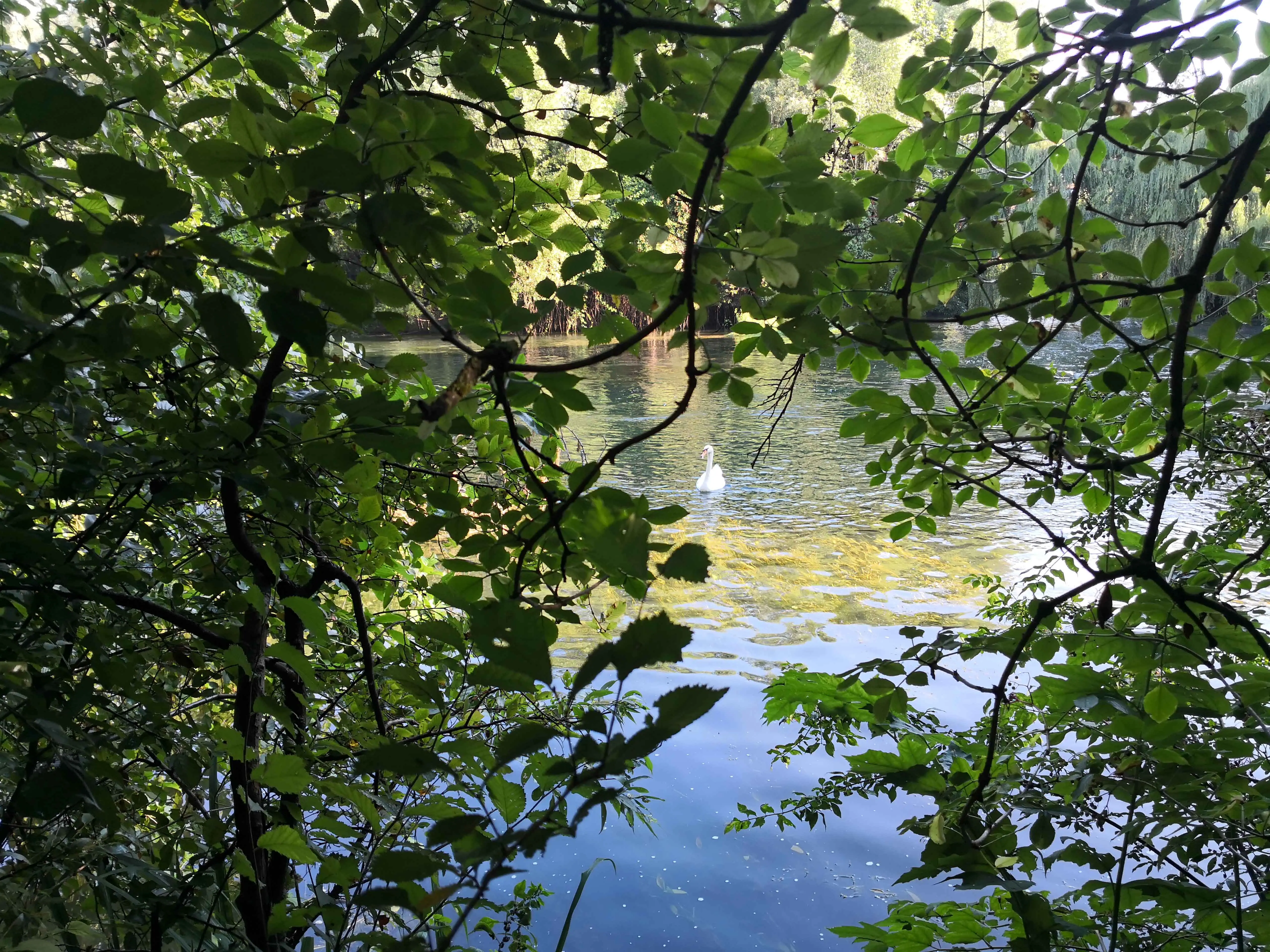 Image01