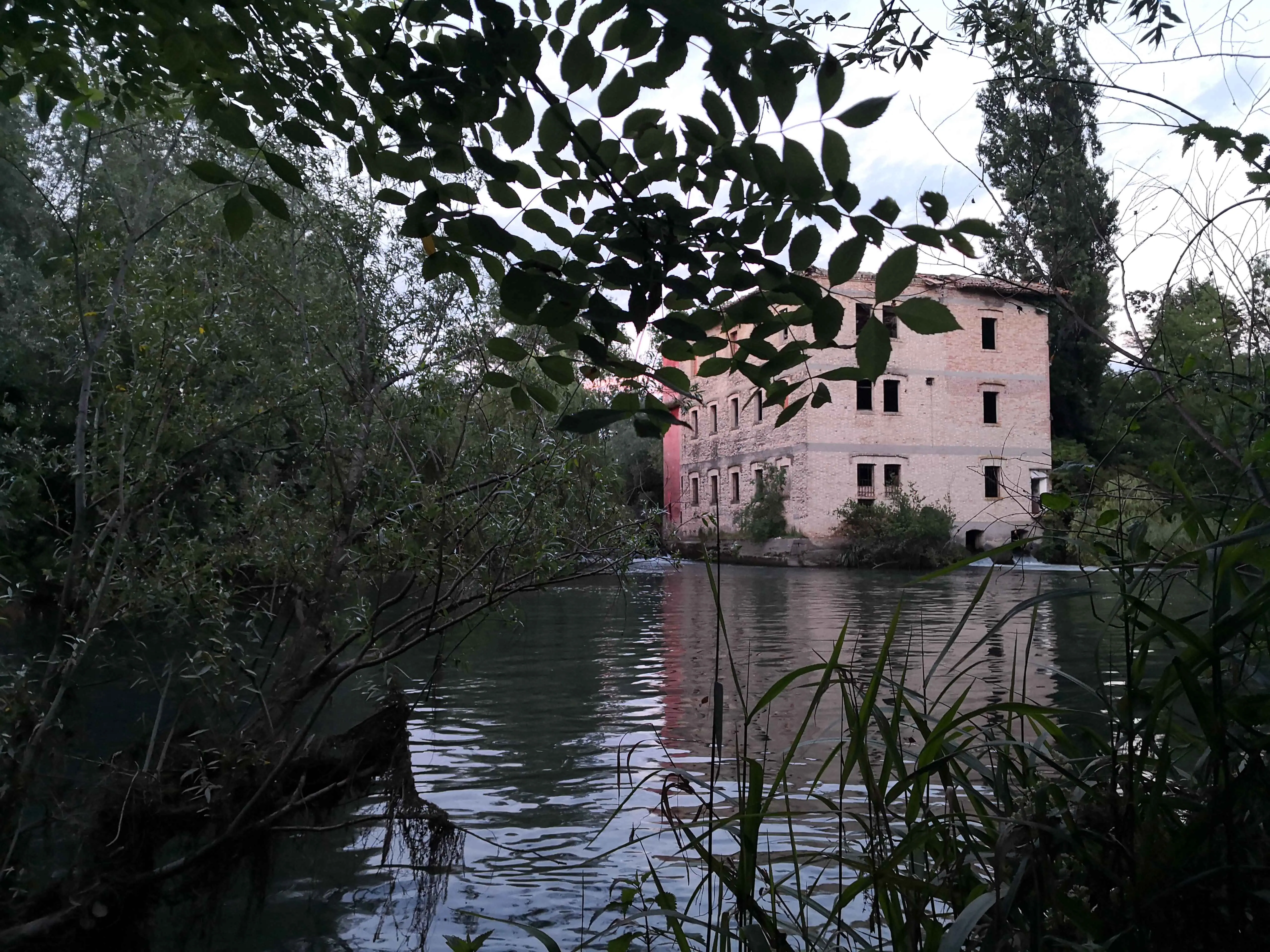 Image02