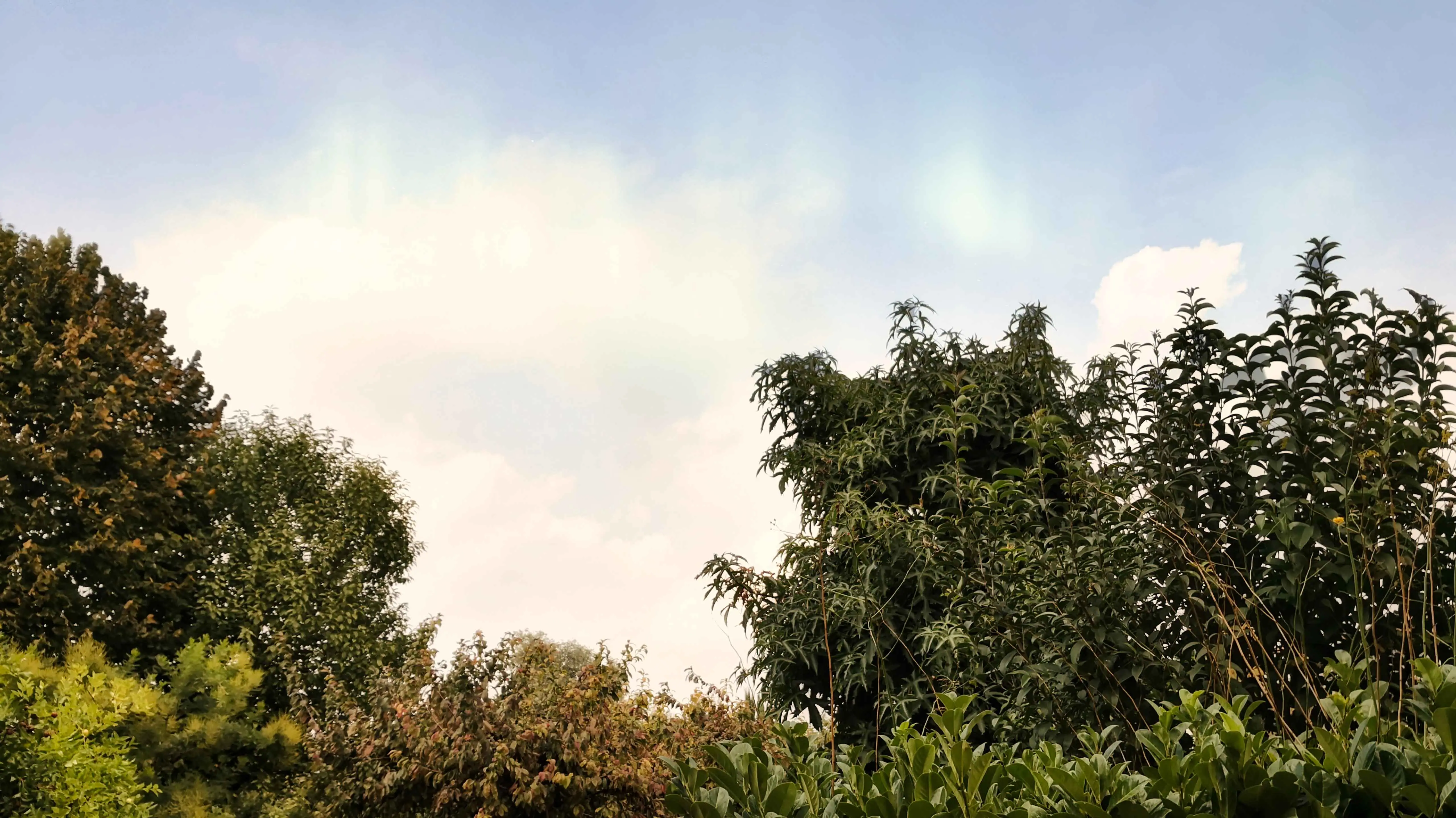 Image11