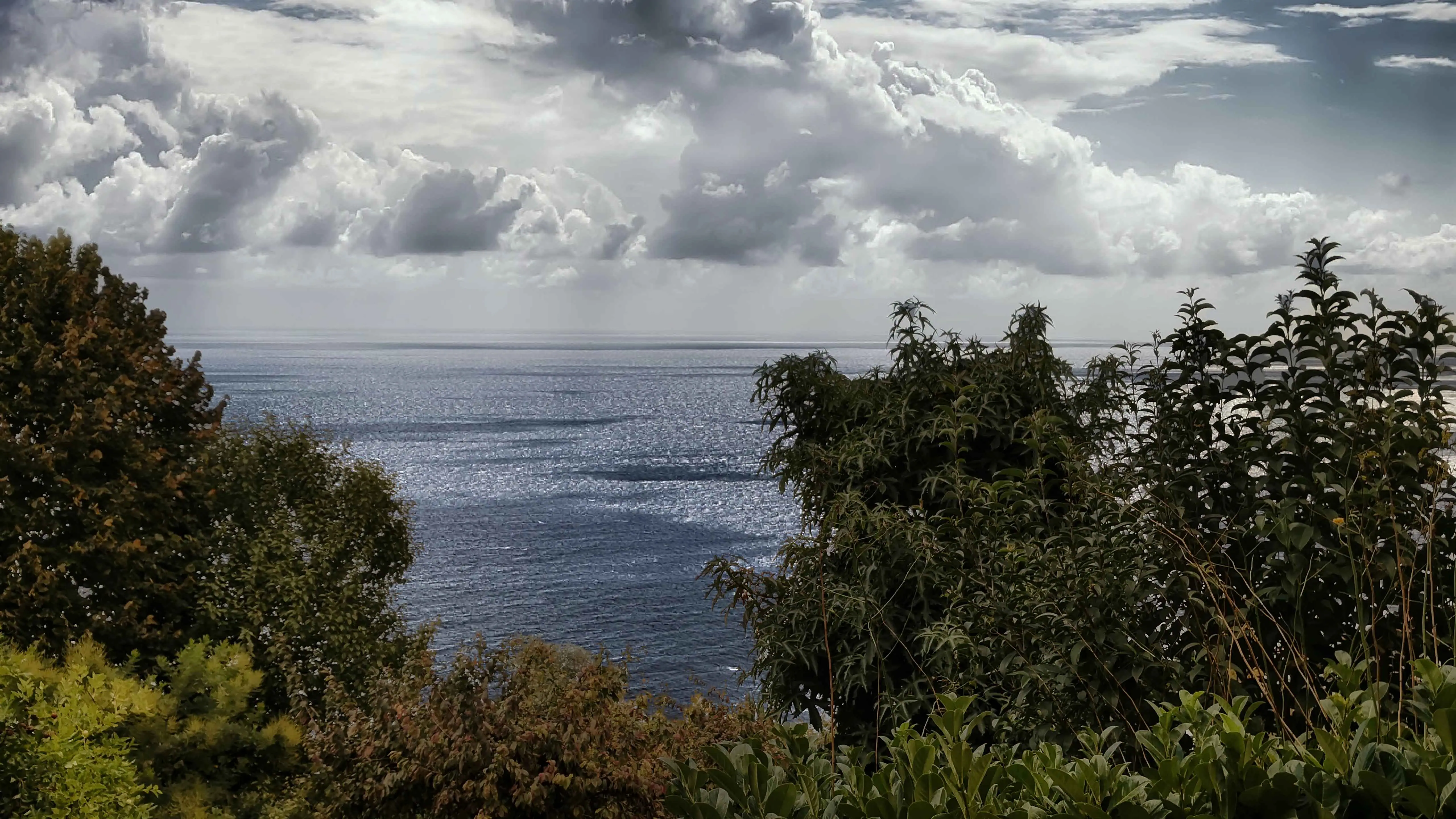 Image12