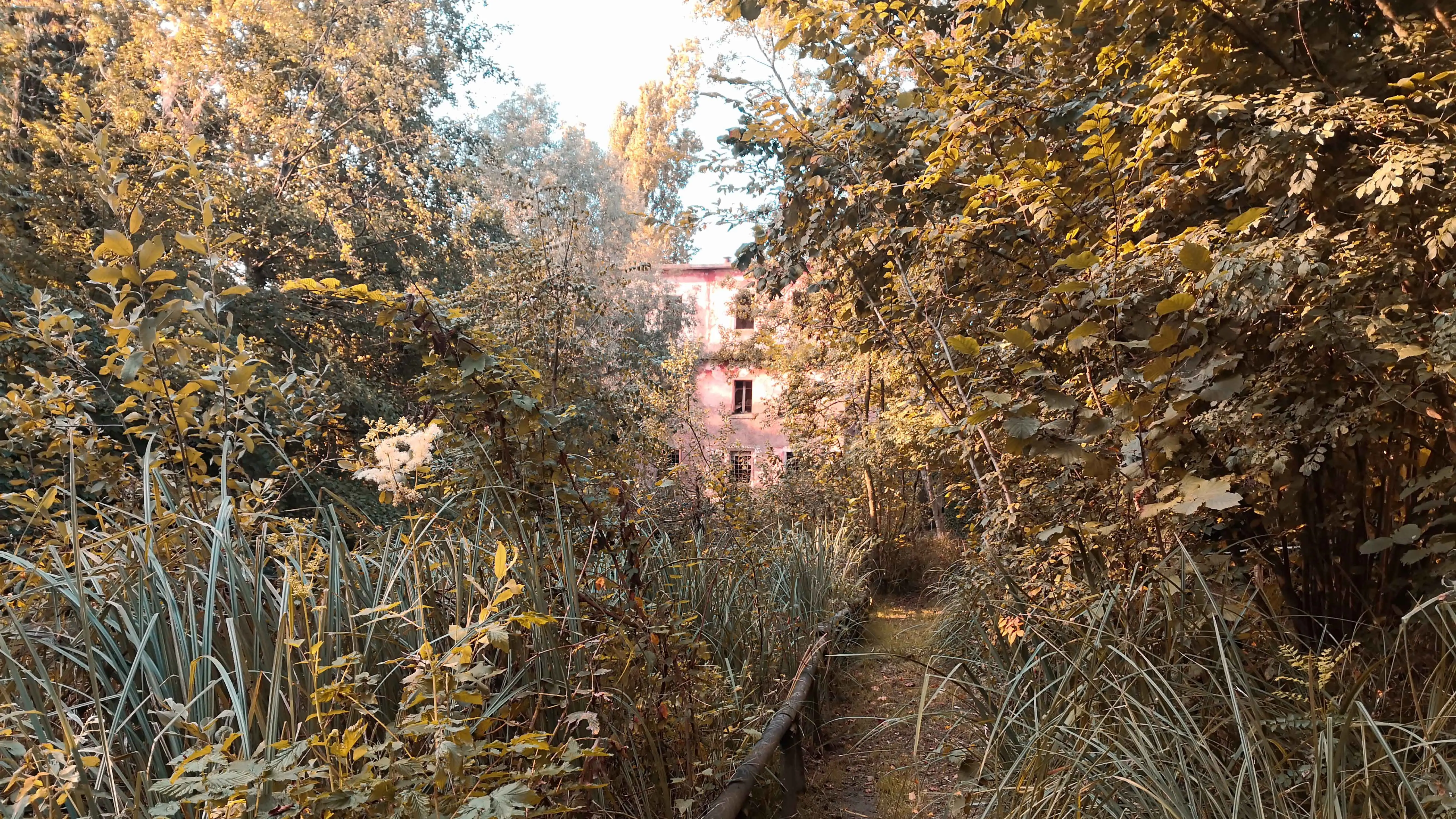 Image15
