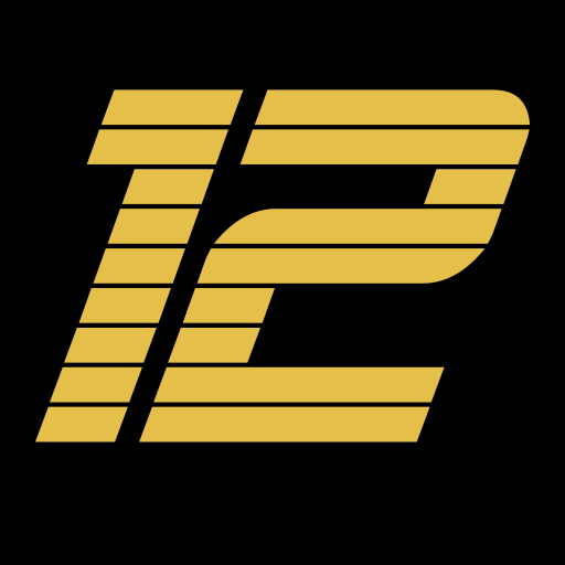 Logo dodicesimadimensione